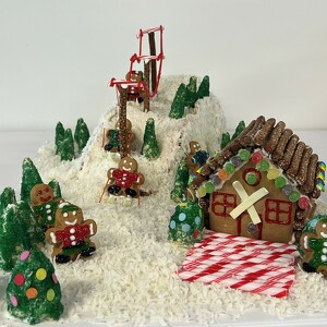 Fundraising Page: Thomas James Homes